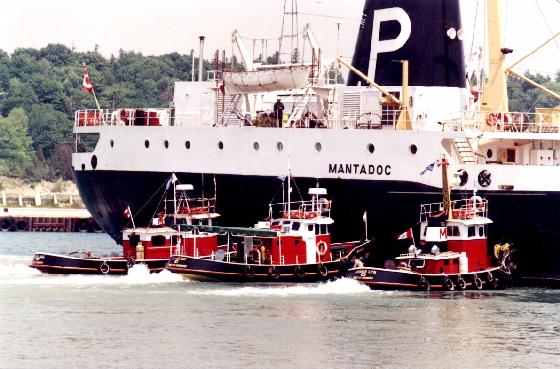 Mantadoc.jpg (48735 bytes)