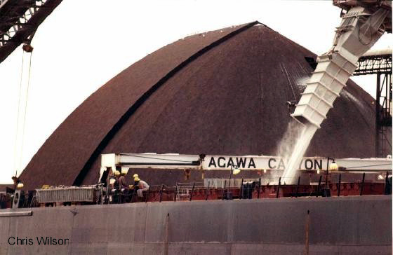 AGCAN1.JPG (44913 bytes)